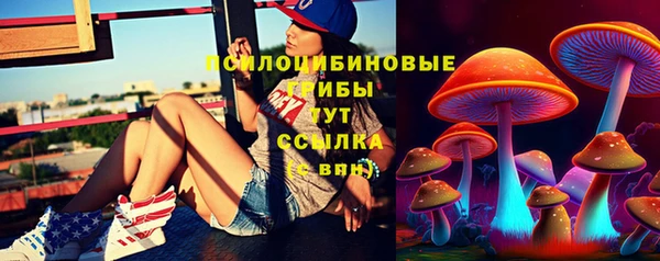 мескалин Арсеньев