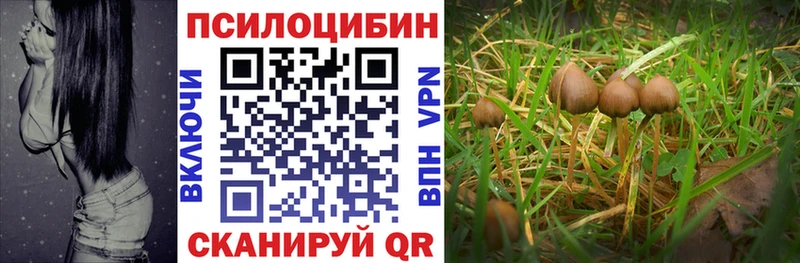 мега Кириши Галлюциногенные грибы Magic Shrooms